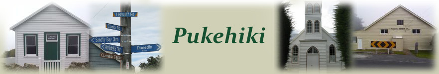 Pukehiki Banner