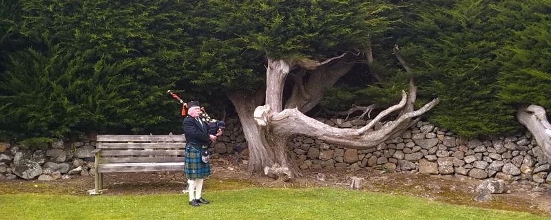 Piper at Pukehiki Community Church