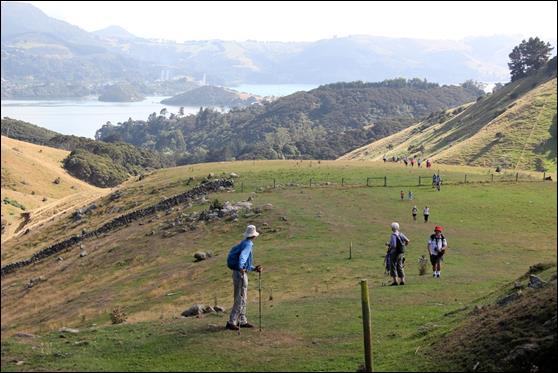 Hereweka Hikers