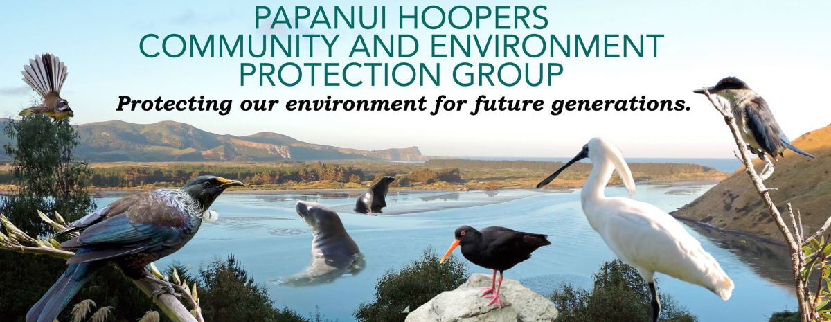 Papanui & Hoopers Community and Environment Protection Group